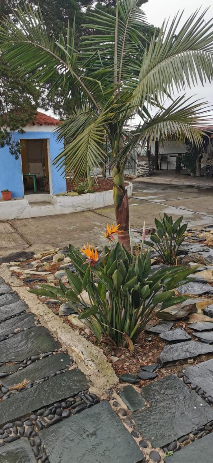 Villa Casa La Caldera Firgas Habitación foto